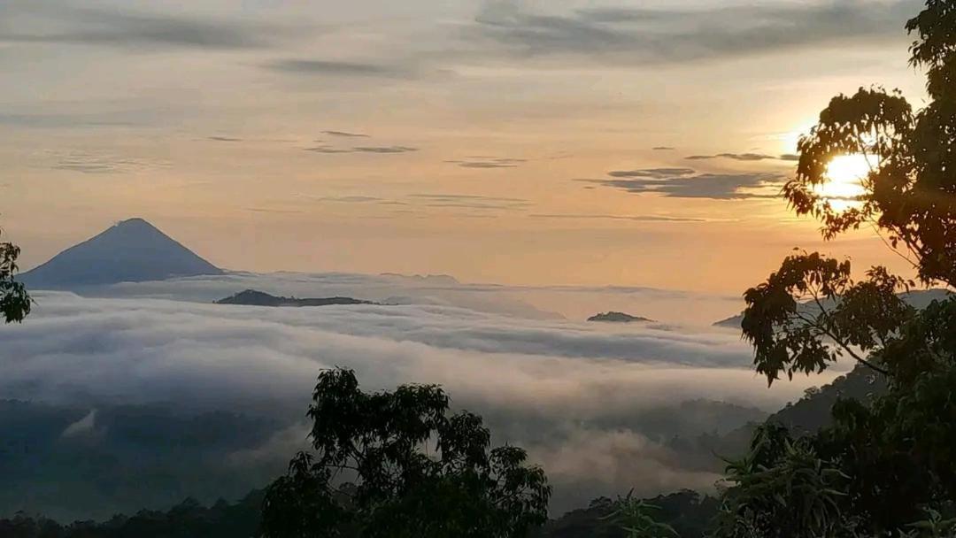Arnolds Familly Homestay Bajawa Zewnętrze zdjęcie
